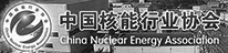 国电投